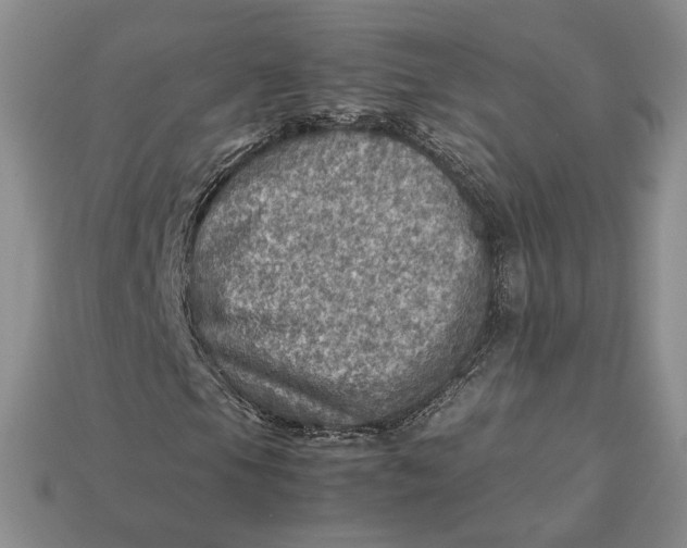 X0000112771105200909101545