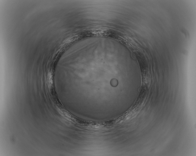 X0000112771106200909101545