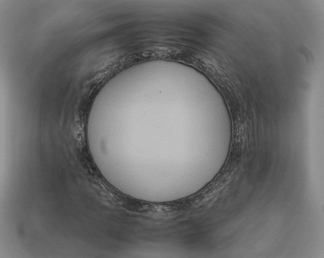 X0000112771109200909101545