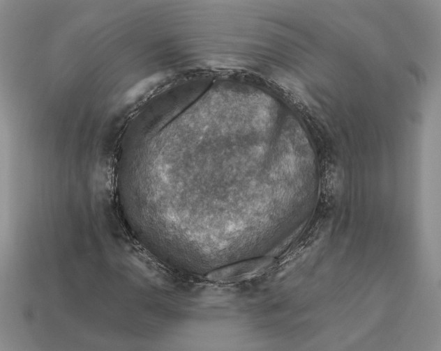 X0000112771110200909101545