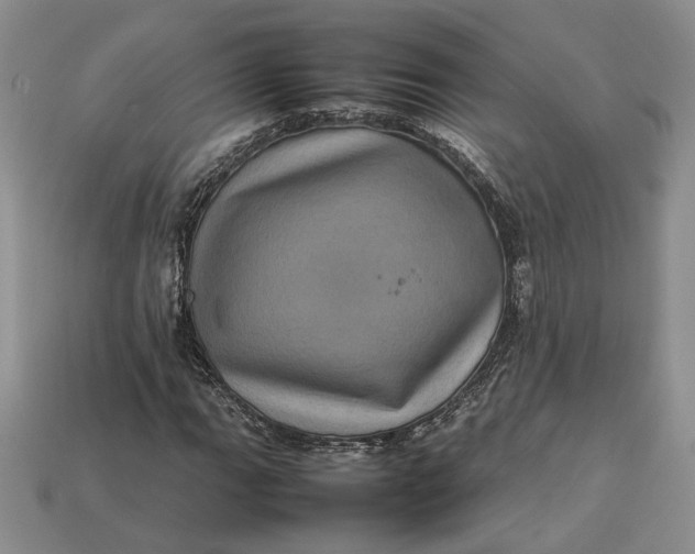 X0000112771111200909101545