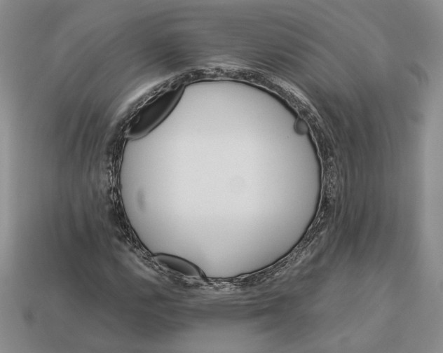 X0000112771112200909101545