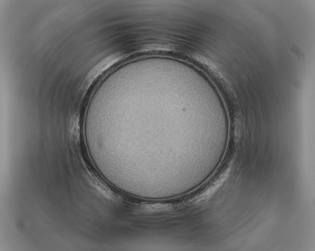 X0000112771113200909101545