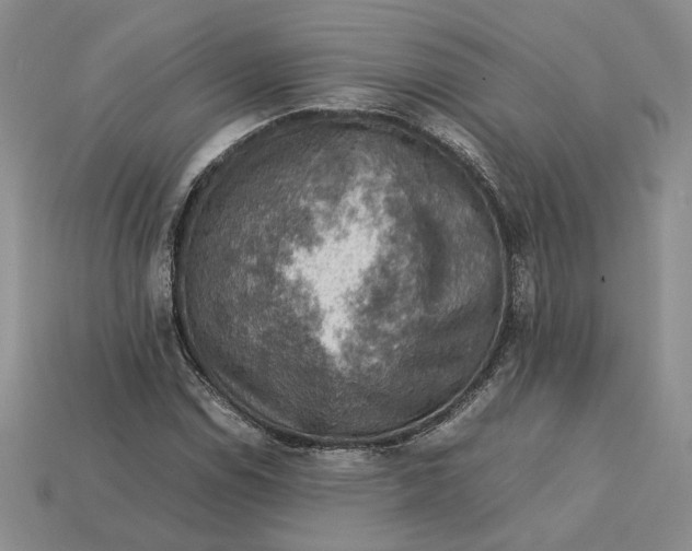 X0000112771114200909101545