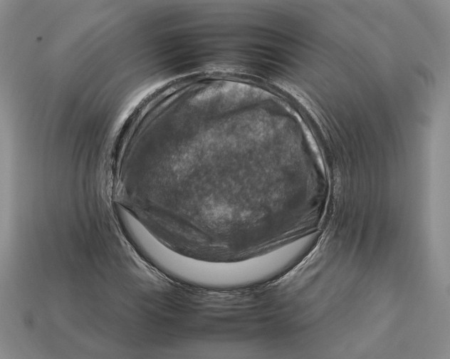 X0000112771115200909101545