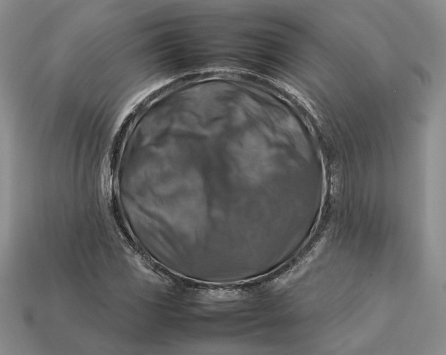 X0000112771117200909101545