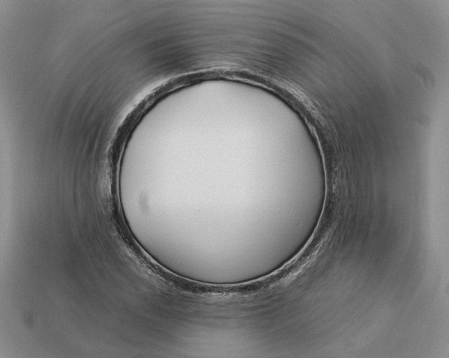 X0000112771118200909101545