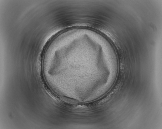 X0000112771119200909101545