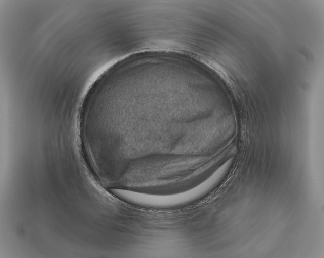 X0000112771120200909101545