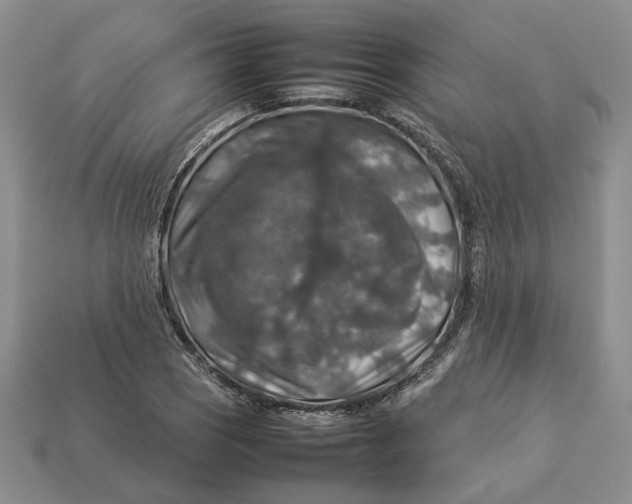 X0000112771121200909101545