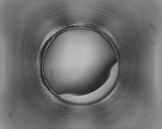 X0000112771122200909101545