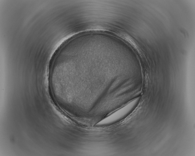 X0000112771124200909101545