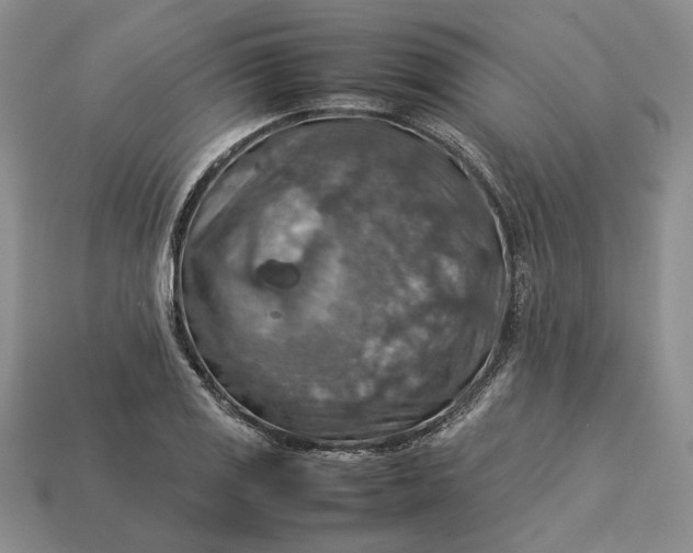 X0000112771125200909101545