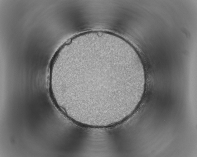 X0000112771126200909101545