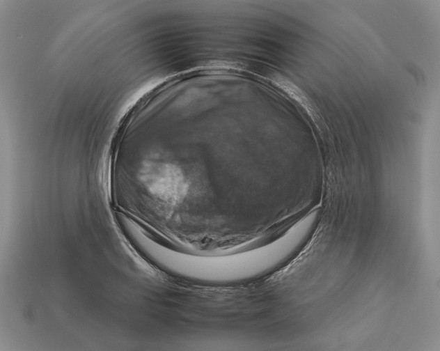 X0000112771127200909101545