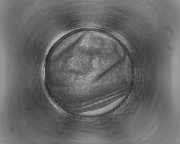 X0000112771128200909101545