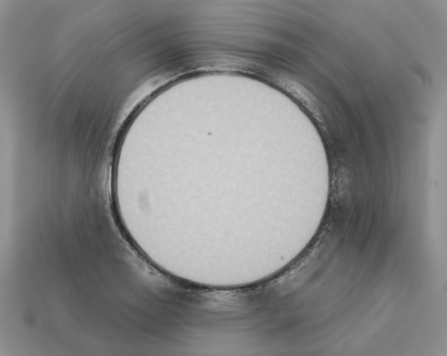 X0000112771130200909101545