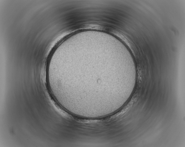 X0000112771131200909101545