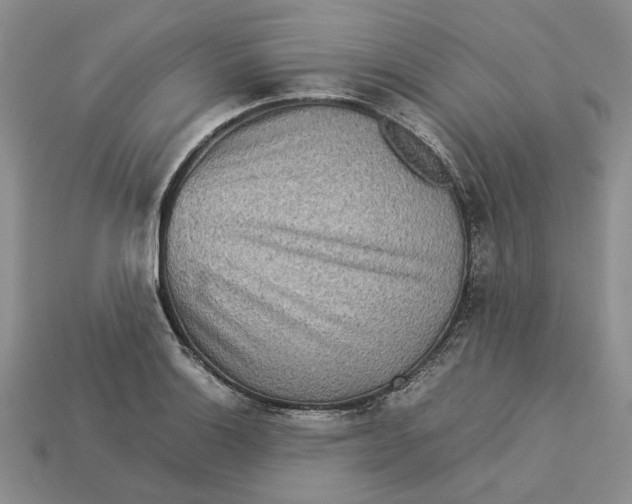 X0000112771132200909101545