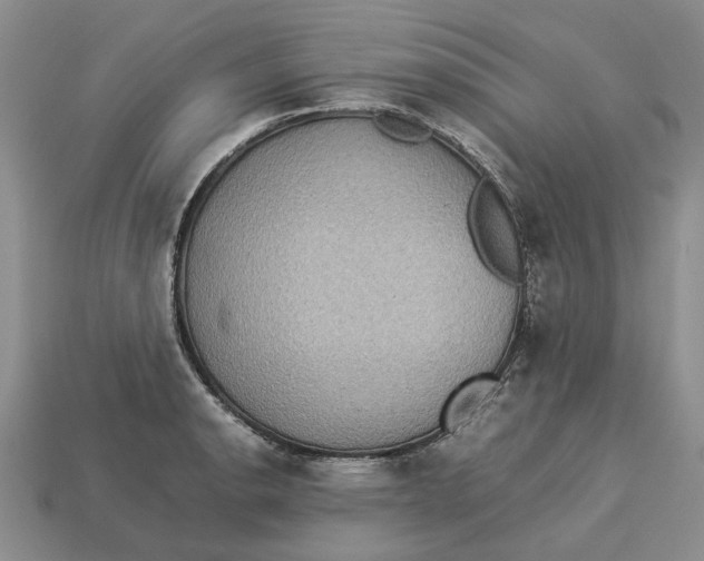 X0000112771134200909101545