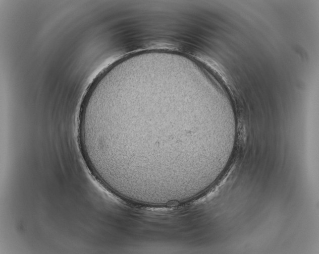 X0000112771135200909101545