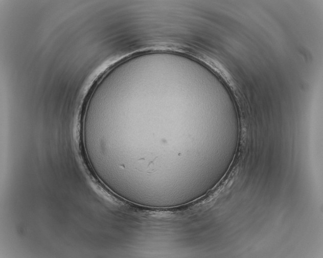 X0000112771136200909101545