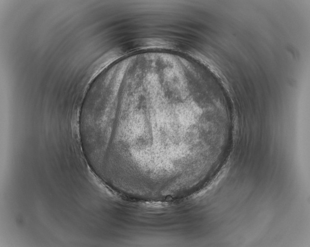 X0000112771137200909101545