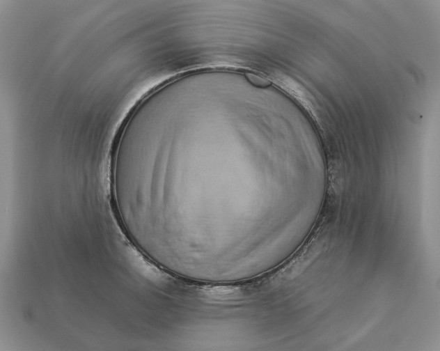 X0000112771140200909101546