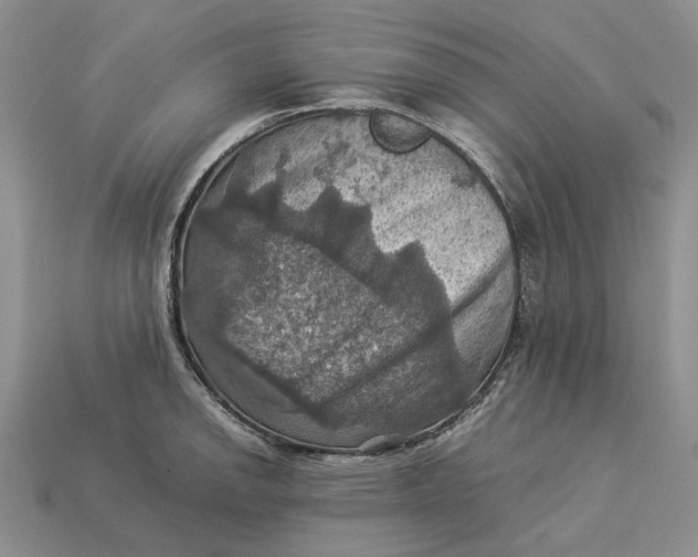 X0000112771142200909101546