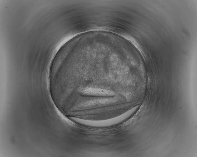 X0000112771143200909101546