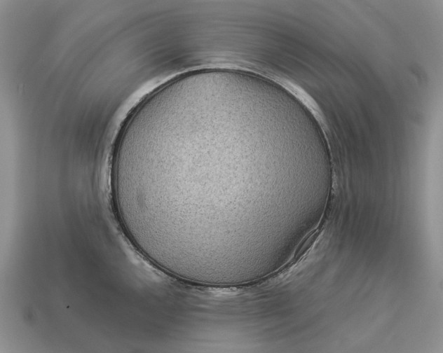 X0000112771144200909101546