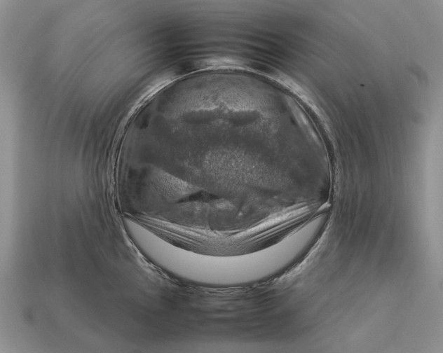 X0000112771145200909101546