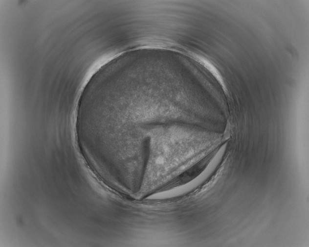 X0000112771146200909101546