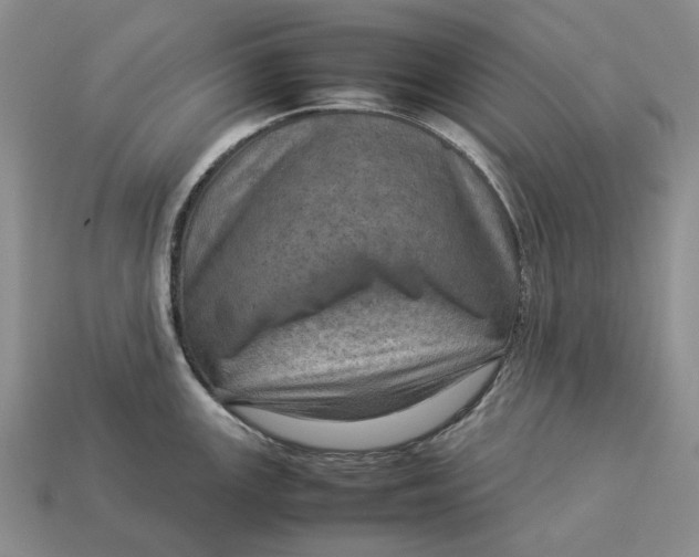 X0000112771147200909101546