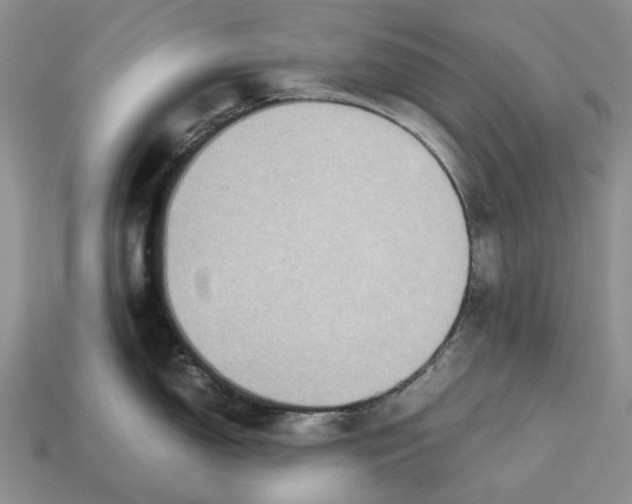 X0000112771150200909101546