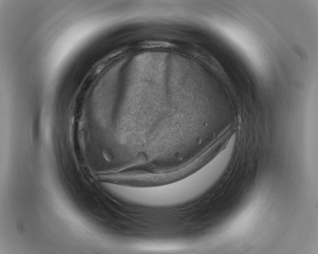 X0000112771151200909101546