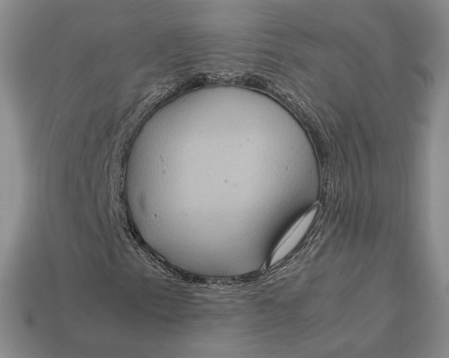 X0000112771153200909101545