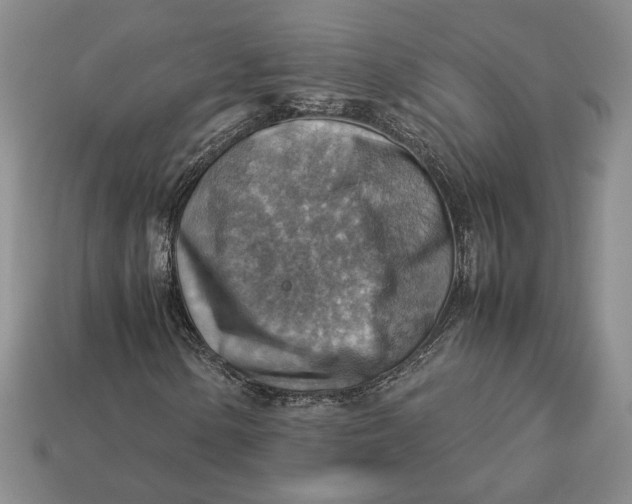 X0000112771154200909101545