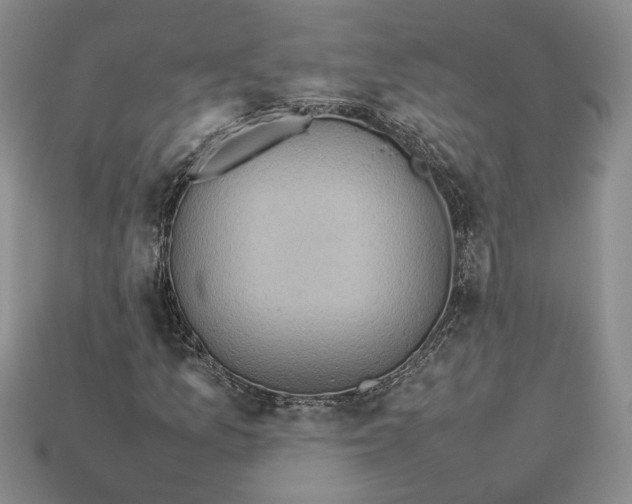 X0000112771157200909101545