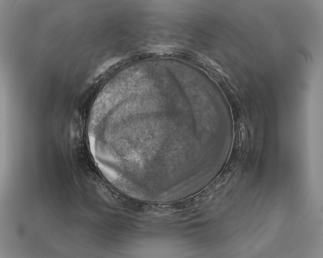 X0000112771158200909101545