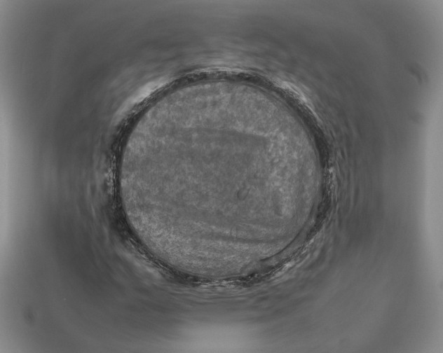 X0000112771159200909101545