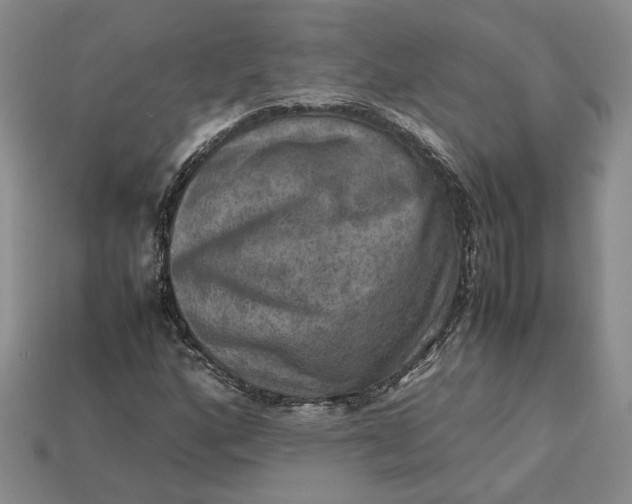 X0000112771160200909101545