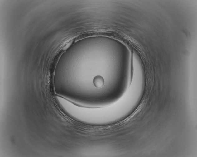 X0000112771161200909101545