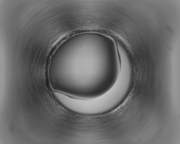 X0000112771162200909101545