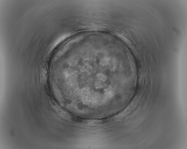 X0000112771163200909101545