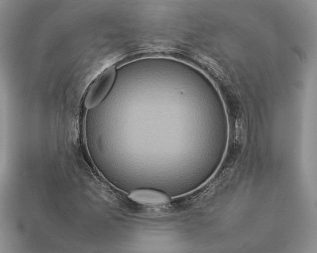 X0000112771165200909101545