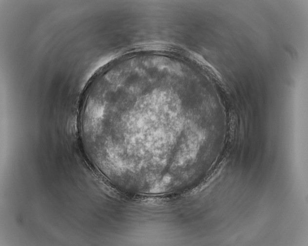 X0000112771166200909101545