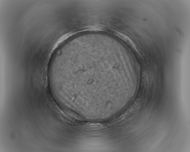 X0000112771168200909101545