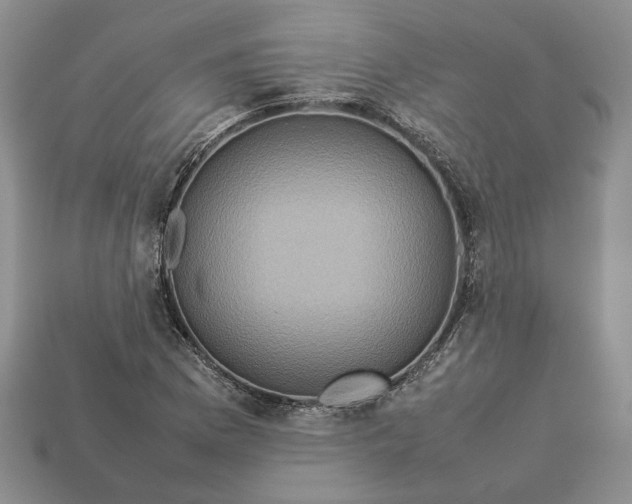 X0000112771169200909101545