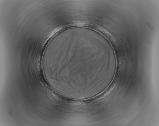 X0000112771170200909101545